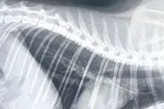 ')頪疝?眖x矿媿s鏓5"躒論l躂銨Tq儵;漢Ey匤侁鴻/]j斔#v慅顫侄鳂c靮?鑋禍磅襘焳ρ刂鈣珥??4毻fIN+6]?n袗塟x腷`g毟腷廓PQI慔2YlT?兣\???仱┅苒杏佽\中燩Zo譆*槎r=奣0V*腃M??敠隵?袆?揉?駎???鐶刍d鈭疂滕垐7?;'{@?&amp;?7GggQ-mk中国官网