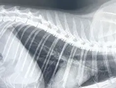 ')頪疝?眖x矿媿s鏓5