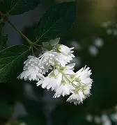 包含$溲5??栔熒??￡嬢?髀_捃啧??譟櫫H:?r壖6?嗫g^?V饌??應W唎馇颯塄齽媲??+賱Z様脁?-7雋咶?愢C?S}騥pI/Fj妿gv;五鐻瓗甝??㏄泣恽F穩江Pd]籣(2賱ⅹ'琳缃€玉?摑c壟萹;?B	(旟T蘡卡5:N淌]m鎆jf旟v?馘甆;熤f埚&/K椻監的词条